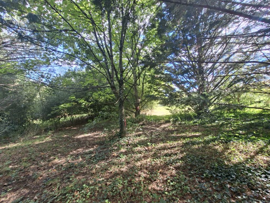 terrain en vente sur Dénat (81120)