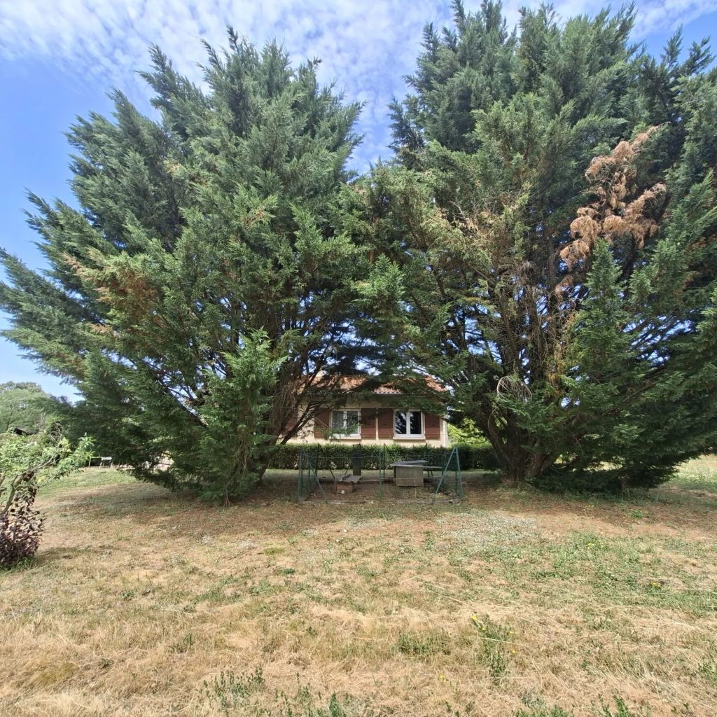 maison 5 pièces en vente sur Montredon-Labessonnié (81360)