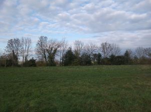 terrain en vente sur Saint-Pierre-de-Trivisy (81330)