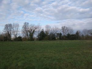 terrain en vente sur Saint-Pierre-de-Trivisy (81330)