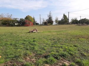 terrain en vente sur Lautrec (81440)