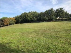 terrain en vente sur Graulhet (81300)