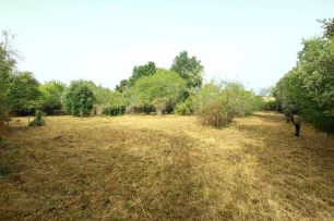 terrain en vente sur Vénès (81440)