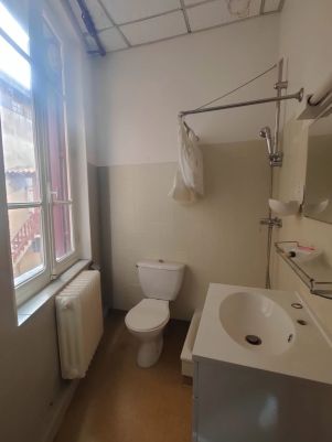 immeuble 15 pièces en vente sur Albi (81000)