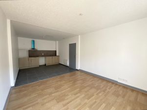 appartement 2 pièces en location sur Réalmont (81120)
