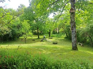 maison en vente sur Dénat (81120)