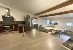 appartement 2 pièces en location sur Castres (81100)