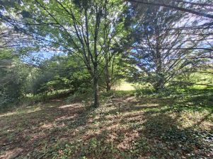 terrain en vente sur Dénat (81120)