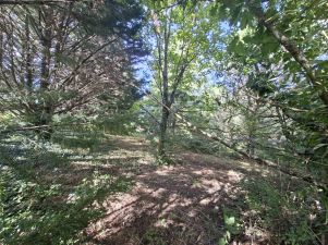 terrain en vente sur Dénat (81120)