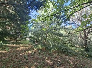 terrain en vente sur Dénat (81120)