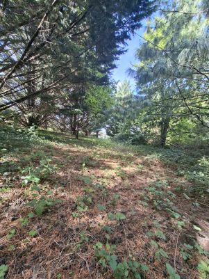 terrain en vente sur Dénat (81120)