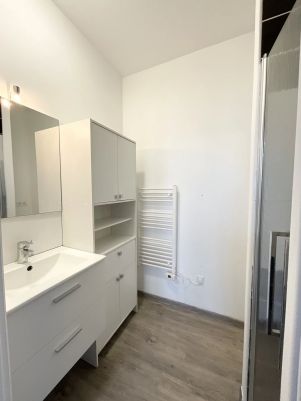 appartement 2 pièces en location sur Réalmont (81120)