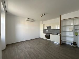appartement 2 pièces en location sur Réalmont (81120)