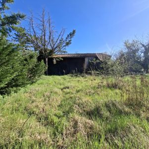 local d'activité 1 pièce en vente sur Montdragon (81440)