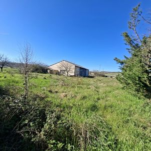 local d'activité 1 pièce en vente sur Montdragon (81440)