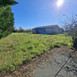 local d'activité 1 pièce en vente sur Montdragon (81440)