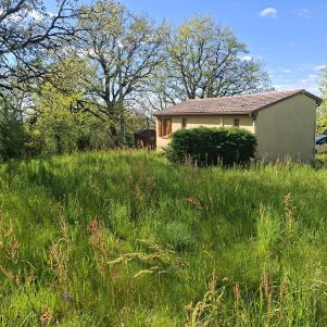 maison 3 pièces en vente sur Saint-Antonin-de-Lacalm (81120)