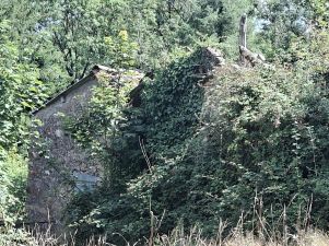 terrain en vente sur Montredon-Labessonnié (81360)