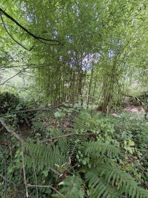 terrain non constructible en vente sur Réalmont (81120)