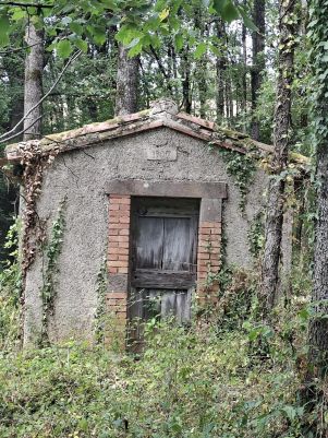 terrain non constructible en vente sur Réalmont (81120)