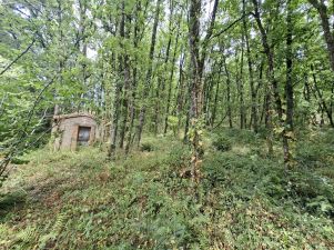 terrain non constructible en vente sur Réalmont (81120)