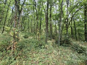 terrain non constructible en vente sur Réalmont (81120)