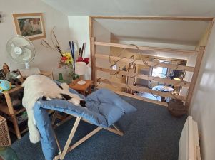 immeuble 5 pièces en vente sur Réalmont (81120)