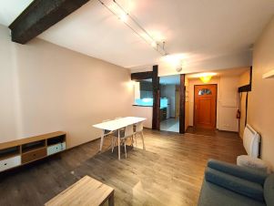 appartement 2 pièces en location sur Réalmont (81120)